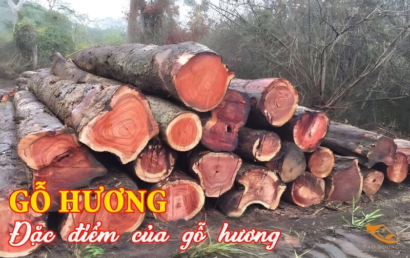 Go Huong La Gi